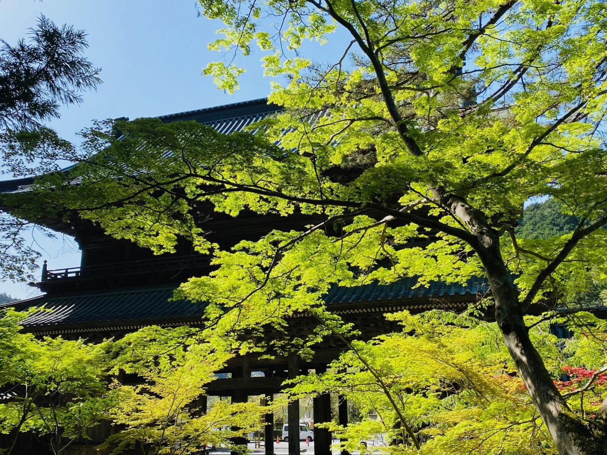 Ryokan Tanakaya Minobu Buitenkant foto