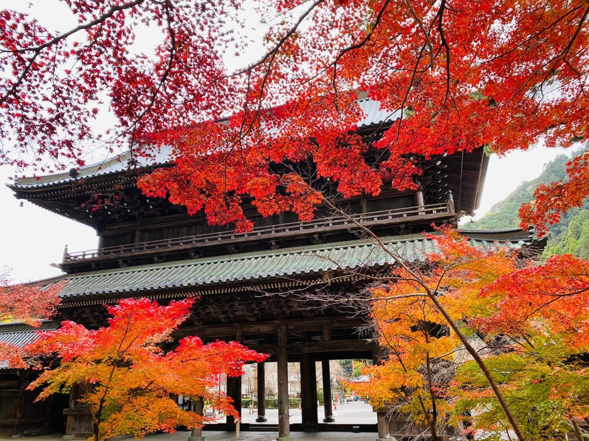 Ryokan Tanakaya Minobu Buitenkant foto
