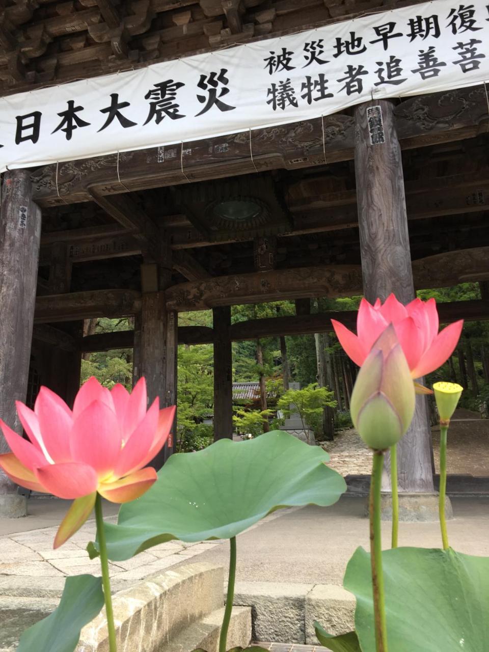 Ryokan Tanakaya Minobu Buitenkant foto