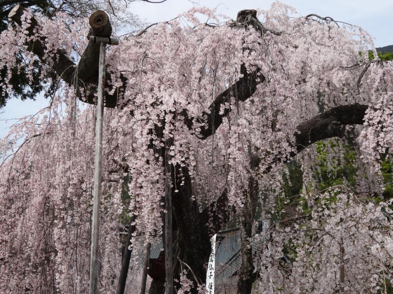 Ryokan Tanakaya Minobu Buitenkant foto